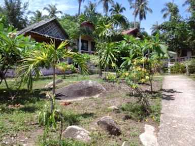 Kuvia paikasta: Triple B Bungalows
