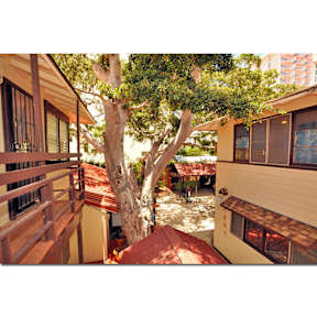 Seaside Hawaiian Hostel Waikiki tesisinden Fotoğraflar