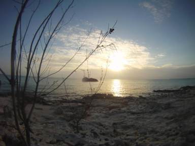 Photos of Surfer's Haven Guesthouse
