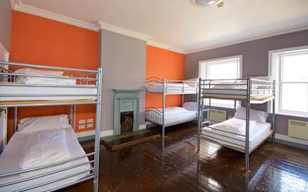 알바트로스의 사진