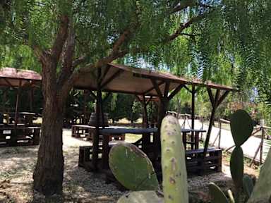 Bilder av Camping Valle dei Templi
