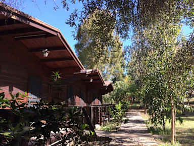 Bilder av Camping Valle dei Templi