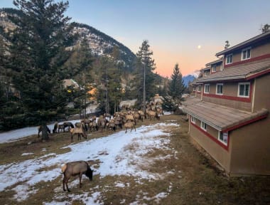 Zdjęcia nagrodzone HI Banff Alpine Centre