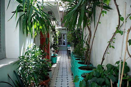 Billeder af Pagration Youth Hostel