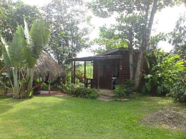Negril Yoga Centre tesisinden Fotoğraflar