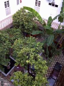 Fotografias de So Chic Riad