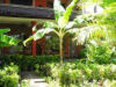 Fotos von Swastika Bungalows