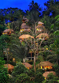 Nandini Jungle Resort & Spa Bali照片