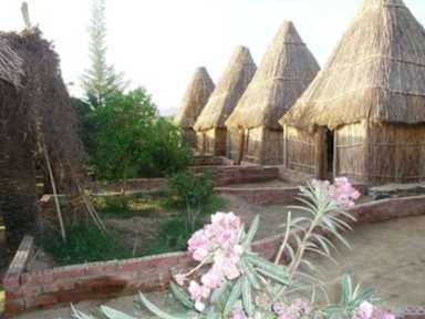 Zdjęcia nagrodzone Sahara Camp