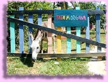 Photos of Fata Morgana