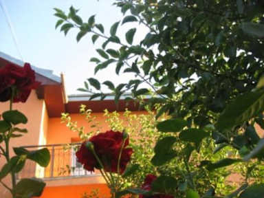 Fotografias de Lary Hostel