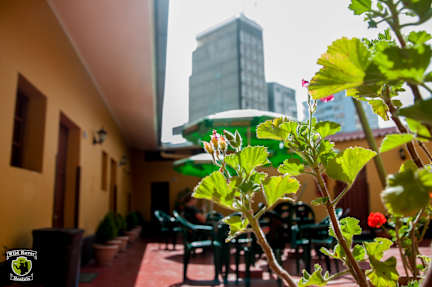 Zdjęcia nagrodzone Wild Rover Hostel La Paz