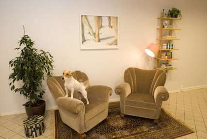 Fotografias de Rut & Ragnars Hostel