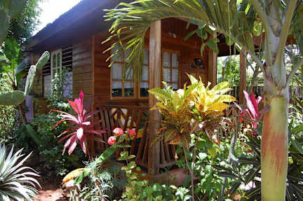 Billeder af The Judy House