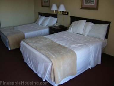 Foto's van ##accomodatie naam##