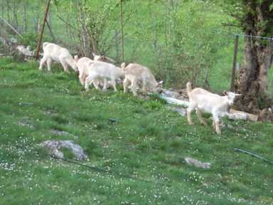 Bilder av Guesthouse Loncar