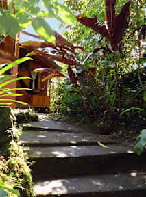 Kuvia paikasta: Cabañas Armonia y Jardín de Orquídeas
