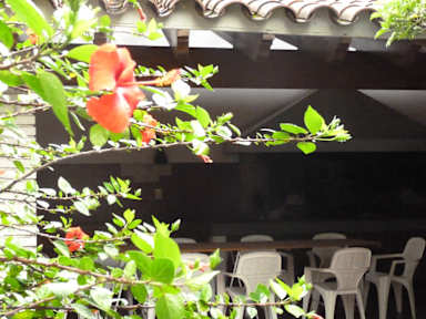 Billeder af De Los Artistas Hostel Mendoza