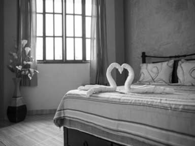 Musky Hostal & Suitesの写真