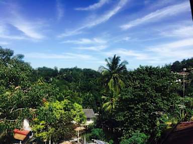 Fotos de Dandelion Guesthouse