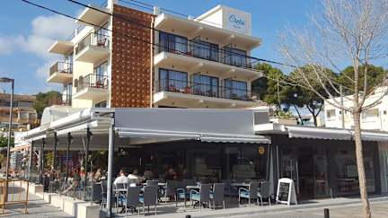 Fotos von Hotel Creta Paguera