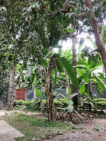 Foto's van Nyumbani Hostel