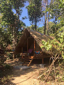Photos of Robinson Bungalows