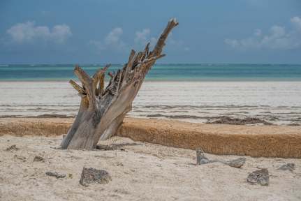 Billeder af Bidi Badu Beach Sport Hostel