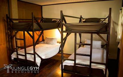 Fotos de Jungle Gym & Ecolodge