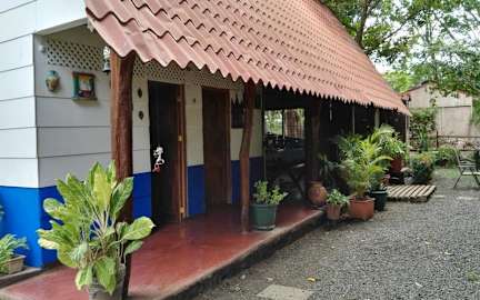 Congos Hostel tesisinden Fotoğraflar