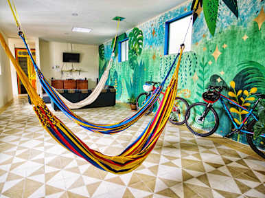 Golden Frog Mountain Hostel照片