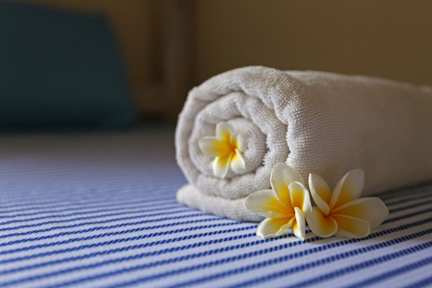 Foto di Surfers House