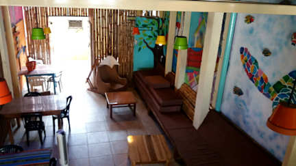 Photos of Hostel CoCo Bongo
