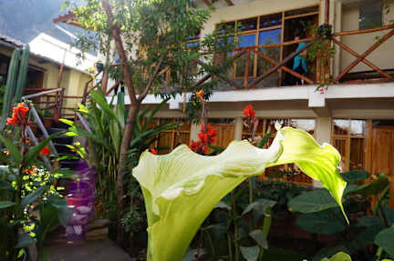 Foto's van Hostal Andenes