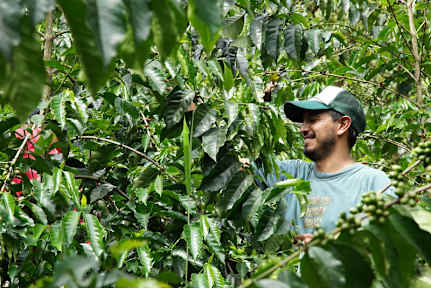 Фотографии El Cafecito Quito