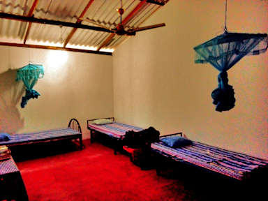 Bilder av Mango Tree Home Stay