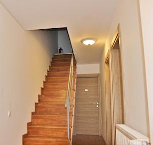 Central Guesthouse照片