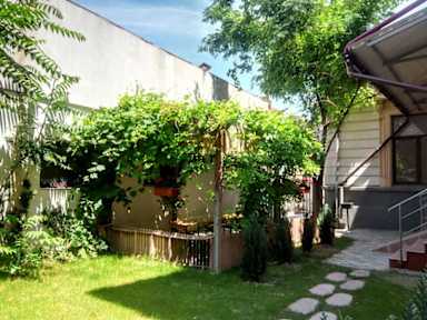 Central Guesthouse照片