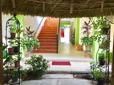 Hostal Casa Huastecaの写真