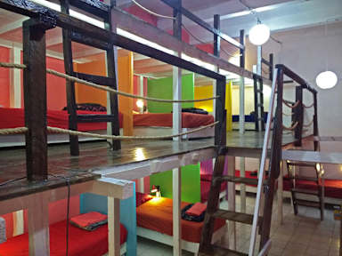 Фотографии Iguana Hostel Oaxaca