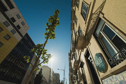 Hub Lisbon Patio Hostel tesisinden Fotoğraflar