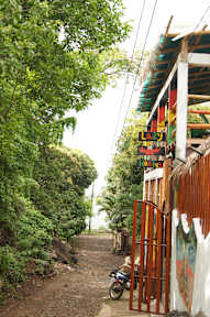 Hostel Lazy Crabの写真