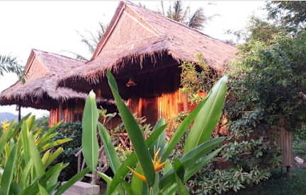 Bird of Paradise Bungalows tesisinden Fotoğraflar