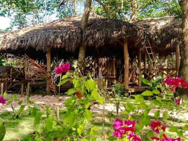 Billeder af Samana Eco-lodge