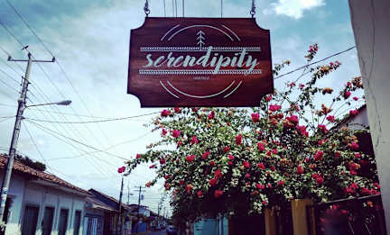 Serendipity Hostel tesisinden Fotoğraflar