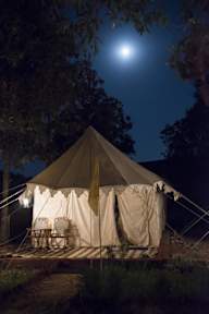 Photos of Royal Pushkar Camps