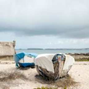 Fotografias de Surfies Baleal