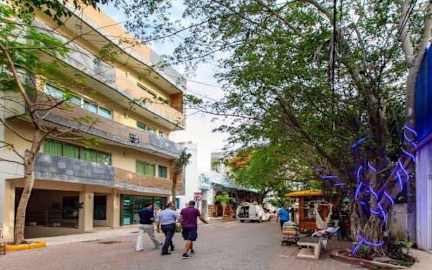 Luxury Condo Suites Ripoll 5ta. AVE照片