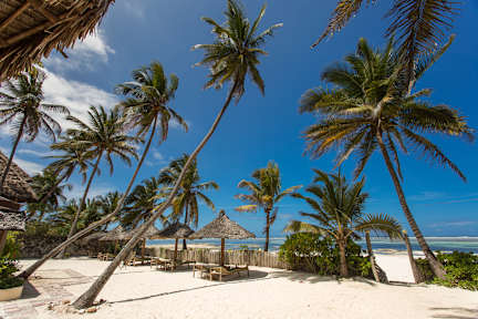 Miramont Retreat Zanzibarの写真