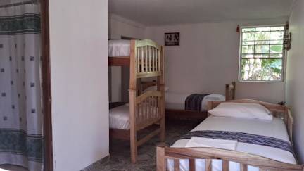 Fotos de Island Roots Hostel